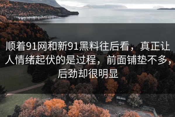 顺着91网和新91黑料往后看，真正让人情绪起伏的是过程，前面铺垫不多，后劲却很明显