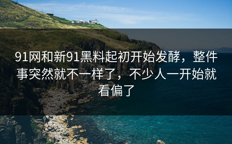 91网和新91黑料起初开始发酵，整件事突然就不一样了，不少人一开始就看偏了