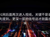 91网后面再次进入视线，关键不是谁先提到，更深一层的信号这才刚露出来