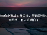 看着像小事其实挺关键，蘑菇视频ios，这回终于有人讲明白了
