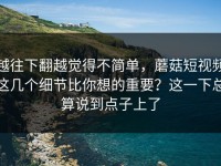 越往下翻越觉得不简单，蘑菇短视频这几个细节比你想的重要？这一下总算说到点子上了