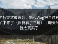老板突然被误会，糖心Vlog把全过程拍下来了（反复看了三遍）｜昨天的我太真实了
