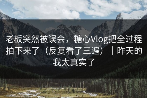 老板突然被误会，糖心Vlog把全过程拍下来了（反复看了三遍）｜昨天的我太真实了