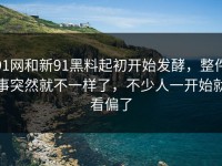 91网和新91黑料起初开始发酵，整件事突然就不一样了，不少人一开始就看偏了