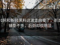91网和新91黑料这波走向变了，前面铺垫不多，后劲却很明显