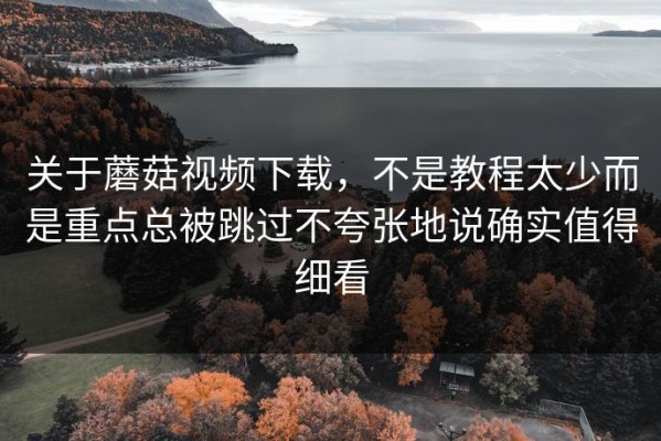 关于蘑菇视频下载，不是教程太少而是重点总被跳过不夸张地说确实值得细看