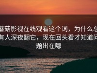 蘑菇影视在线观看这个词，为什么总有人深夜翻它，现在回头看才知道问题出在哪