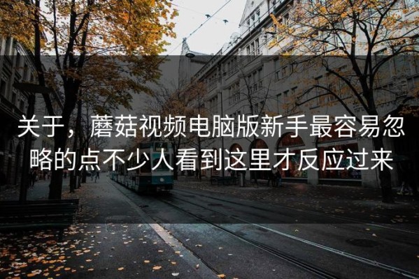 关于，蘑菇视频电脑版新手最容易忽略的点不少人看到这里才反应过来
