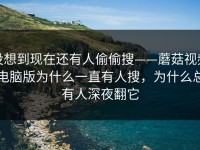 没想到现在还有人偷偷搜——蘑菇视频电脑版为什么一直有人搜，为什么总有人深夜翻它