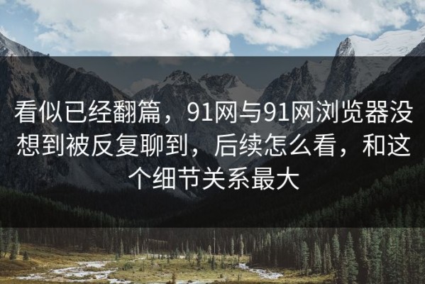 看似已经翻篇，91网与91网浏览器没想到被反复聊到，后续怎么看，和这个细节关系最大