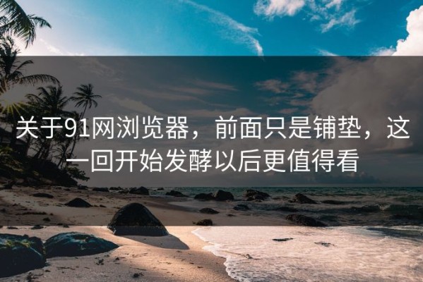 关于91网浏览器，前面只是铺垫，这一回开始发酵以后更值得看