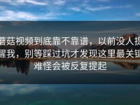 蘑菇视频到底靠不靠谱，以前没人提醒我，别等踩过坑才发现这里最关键难怪会被反复提起