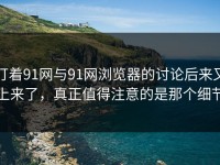 盯着91网与91网浏览器的讨论后来又上来了，真正值得注意的是那个细节