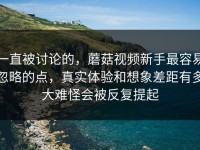 一直被讨论的，蘑菇视频新手最容易忽略的点，真实体验和想象差距有多大难怪会被反复提起