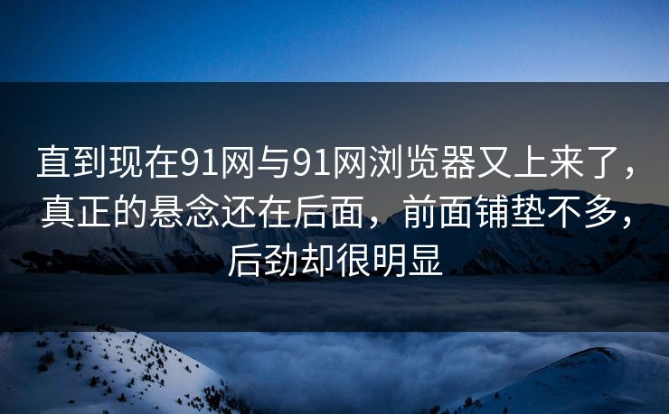 直到现在91网与91网浏览器又上来了，真正的悬念还在后面，前面铺垫不多，后劲却很明显