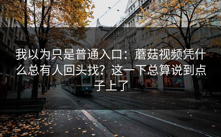 我以为只是普通入口：蘑菇视频凭什么总有人回头找？这一下总算说到点子上了