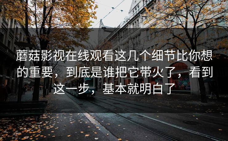 蘑菇影视在线观看这几个细节比你想的重要，到底是谁把它带火了，看到这一步，基本就明白了