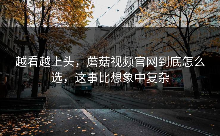 越看越上头，蘑菇视频官网到底怎么选，这事比想象中复杂