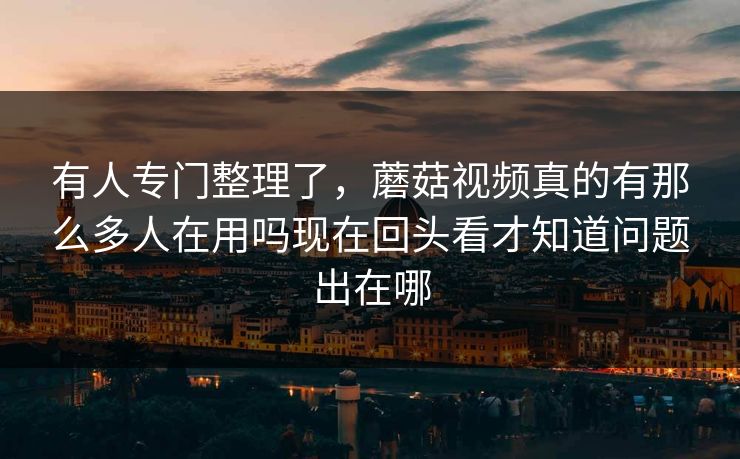 有人专门整理了，蘑菇视频真的有那么多人在用吗现在回头看才知道问题出在哪