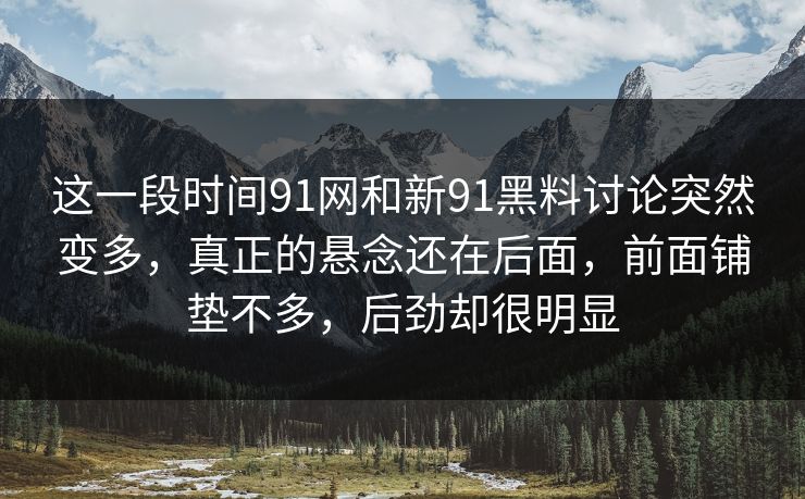 这一段时间91网和新91黑料讨论突然变多，真正的悬念还在后面，前面铺垫不多，后劲却很明显