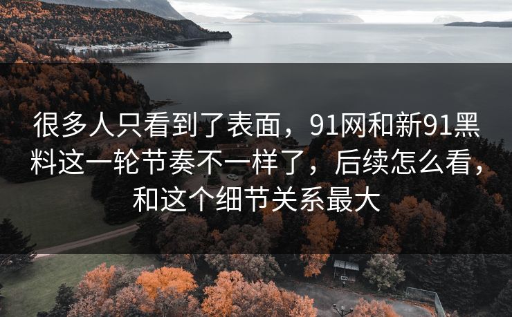 很多人只看到了表面，91网和新91黑料这一轮节奏不一样了，后续怎么看，和这个细节关系最大