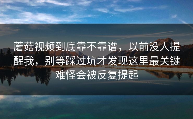蘑菇视频到底靠不靠谱，以前没人提醒我，别等踩过坑才发现这里最关键难怪会被反复提起
