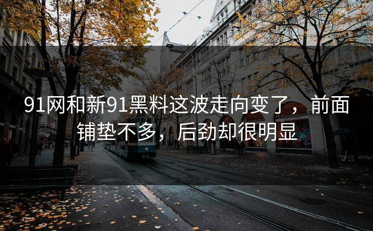 91网和新91黑料这波走向变了，前面铺垫不多，后劲却很明显