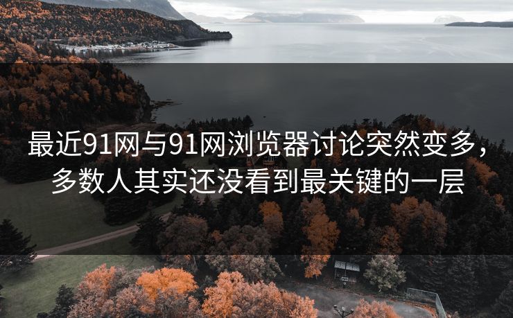 最近91网与91网浏览器讨论突然变多，多数人其实还没看到最关键的一层