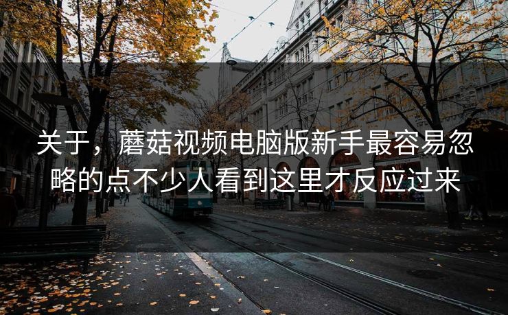 关于，蘑菇视频电脑版新手最容易忽略的点不少人看到这里才反应过来