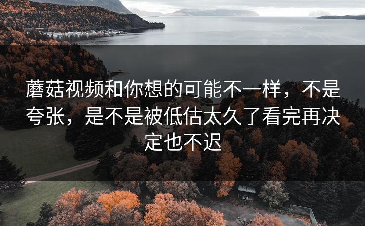 蘑菇视频和你想的可能不一样，不是夸张，是不是被低估太久了看完再决定也不迟