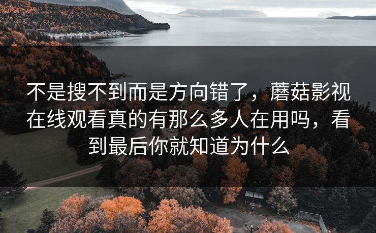 不是搜不到而是方向错了，蘑菇影视在线观看真的有那么多人在用吗，看到最后你就知道为什么
