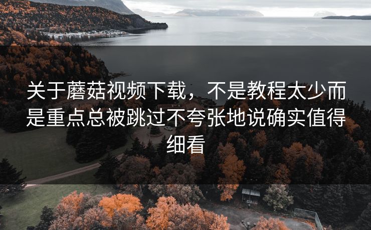 关于蘑菇视频下载，不是教程太少而是重点总被跳过不夸张地说确实值得细看