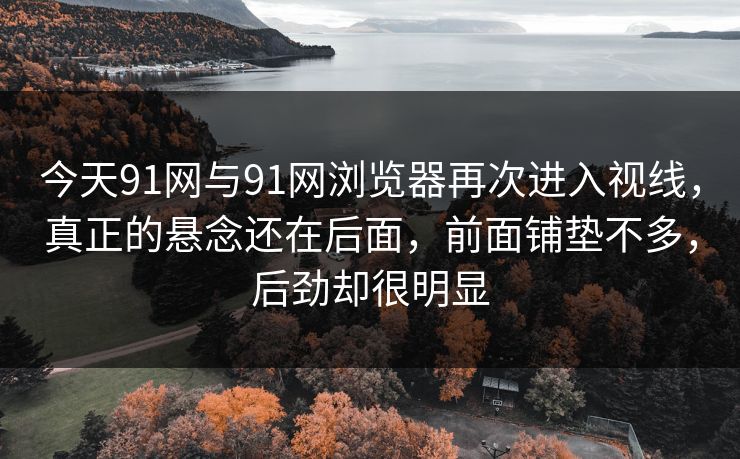 今天91网与91网浏览器再次进入视线，真正的悬念还在后面，前面铺垫不多，后劲却很明显