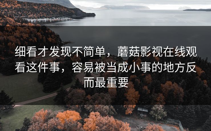 细看才发现不简单,蘑菇影视在线观看这件事,容易被当成小事的地方反而最重要 细看才发现不简单,蘑菇影视在线观看这件事,容易被当成小事的地方反而最重要